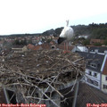 19_55-nest.jpg