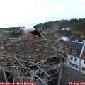 20_00-nest.jpg