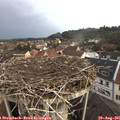 06_45-nest.jpg