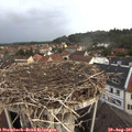 06_50-nest.jpg