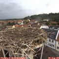 06_55-nest.jpg