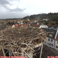 07_00-nest.jpg