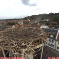 07_05-nest.jpg