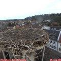07_10-nest.jpg
