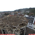 07_15-nest.jpg