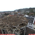 07_20-nest.jpg