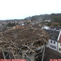 07_25-nest.jpg