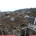 07_35-nest.jpg