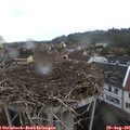 07_40-nest.jpg
