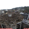 07_45-nest.jpg
