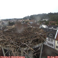 07_55-nest.jpg