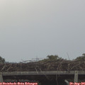 08_05-mast.jpg