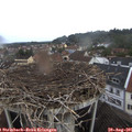 08_05-nest.jpg