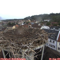 08_10-nest.jpg