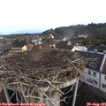 08_15-nest.jpg
