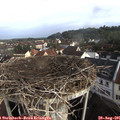 08_20-nest.jpg