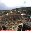 08_25-nest.jpg