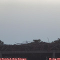 08_30-mast.jpg