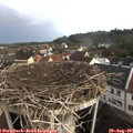 08_30-nest.jpg