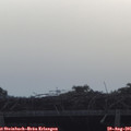 08_35-mast.jpg