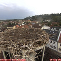 08_35-nest.jpg