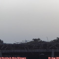 08_40-mast.jpg