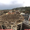 08_40-nest.jpg