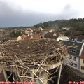 08_45-nest.jpg