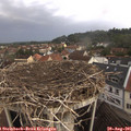 08_55-nest.jpg