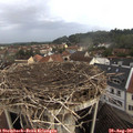 09_00-nest.jpg