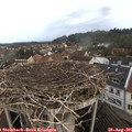 09_05-nest.jpg