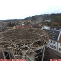 09_10-nest.jpg