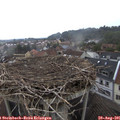 09_15-nest.jpg
