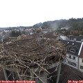 09_20-nest.jpg