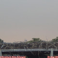 09_25-mast.jpg