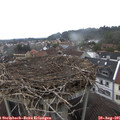 09_25-nest.jpg