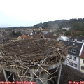 09_30-nest.jpg