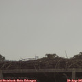 09_40-mast.jpg