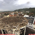 09_40-nest.jpg