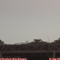 09_45-mast.jpg