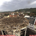 09_45-nest.jpg