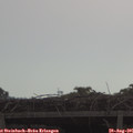 09_50-mast.jpg