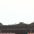 10_00-mast.jpg