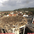 10_00-nest.jpg