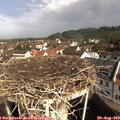 10_05-nest.jpg