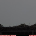 10_10-mast.jpg