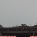 10_20-mast.jpg