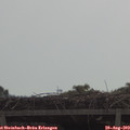 10_25-mast.jpg