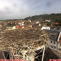 10_25-nest.jpg