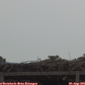 10_30-mast.jpg